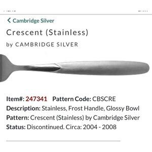 Cambridge Silver Crescent Stainless Teaspoons Set Of 11 Frost Handle Glossy Bowl